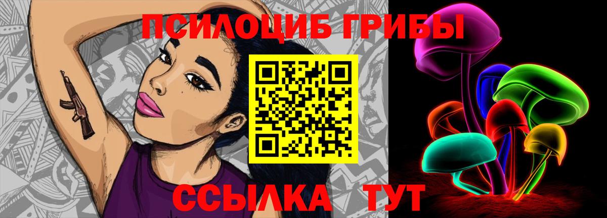 Кирово-Чепецк  Псилоцибиновые грибы Magic Shrooms  Вход с VPN 